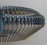 Cliquer pour agrandir