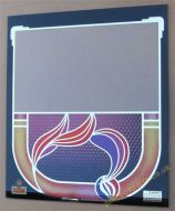 NSM CD Fire / Bird Type Selector Glass (NSM162A)